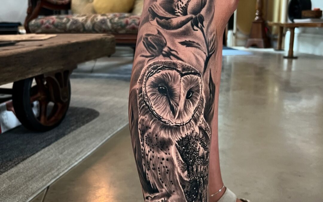 Owl
